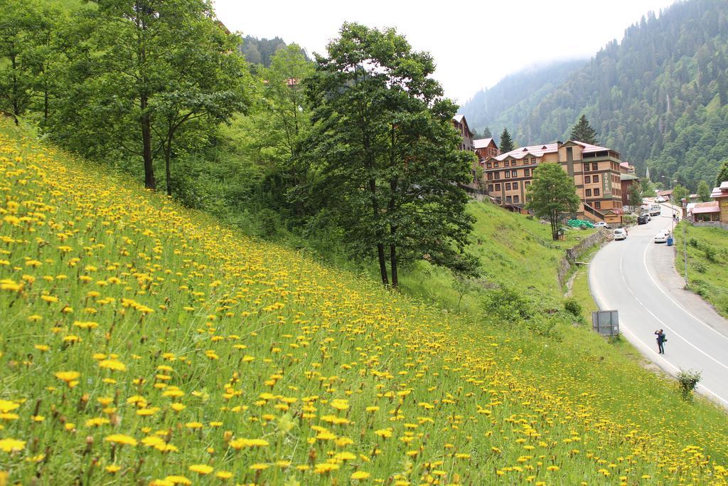 Ayder Resort Hotel Ризе Экстерьер фото